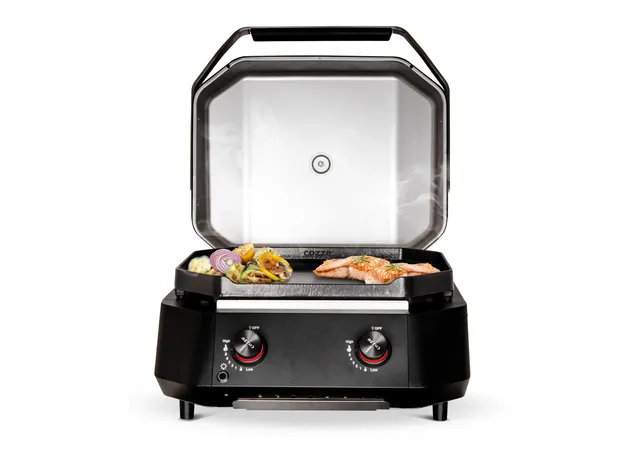 cozze-g-500-plancha-grill-gasgrill-5-0-kw-53x41-cm-mit-regler image 1